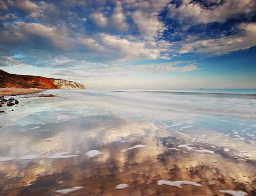 Culver Cliff, Sandown, Isle of Wight
