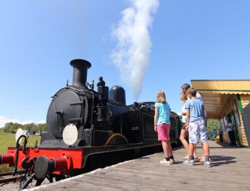 Isle of Wight Steam Railway Station