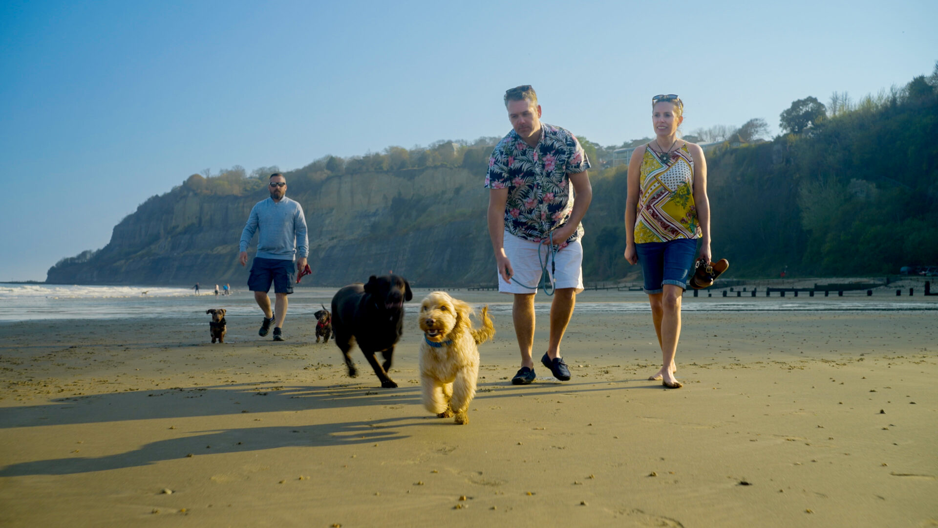 Guests walking their dogs along Shanklin beach below the cliffs