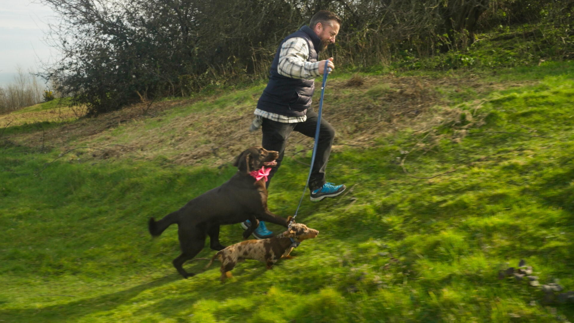A family walking their dog near Luccombe Manor