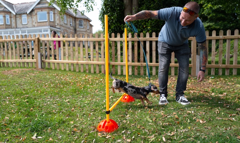 Agility fun