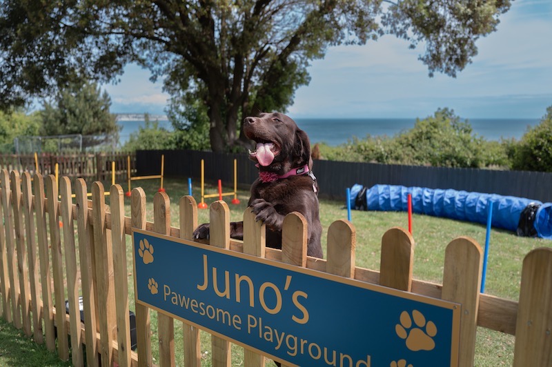 Dog Friendly Holidays, Luccombe Manor Country House Hotel, Isle of Wight