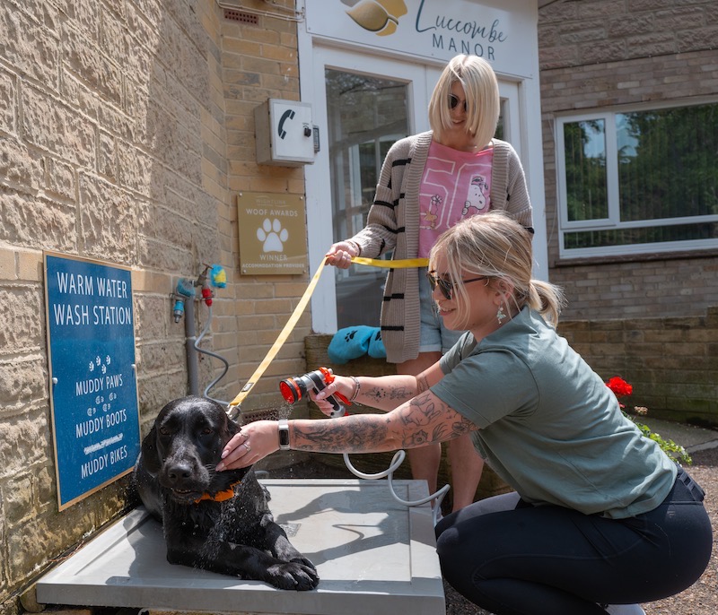 Winner Best Place for Dogs, Luccombe Manor Country House Hotel, Isle of Wight