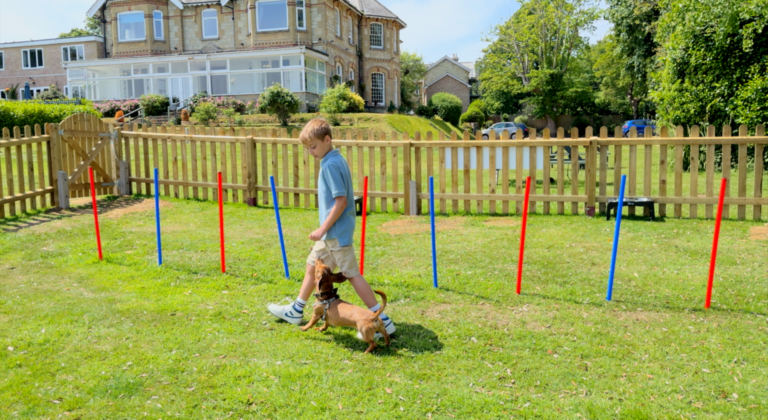 Juno’s Pawsome Playground, the dog agility area at Luccombe Manor