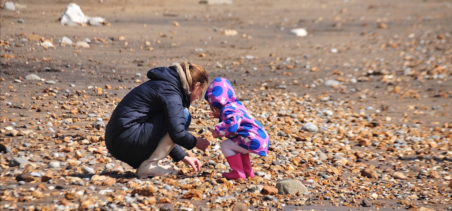 Fossil hunting on the shore