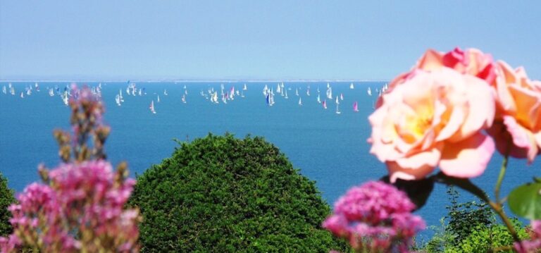 Round the Island Yacht Race